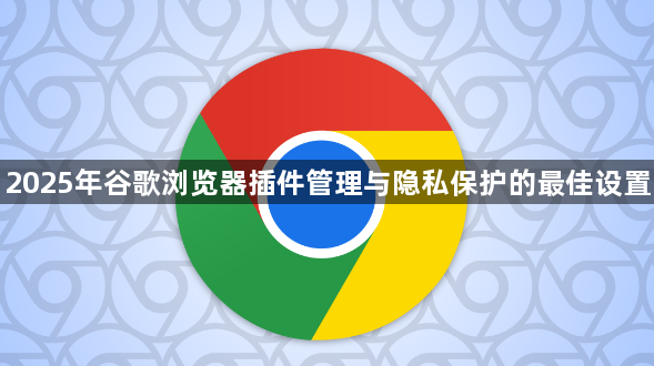 2025年谷歌浏览器插件管理与隐私保护的最佳设置1