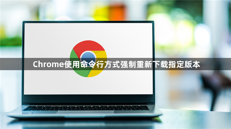 Chrome使用命令行方式强制重新下载指定版本1