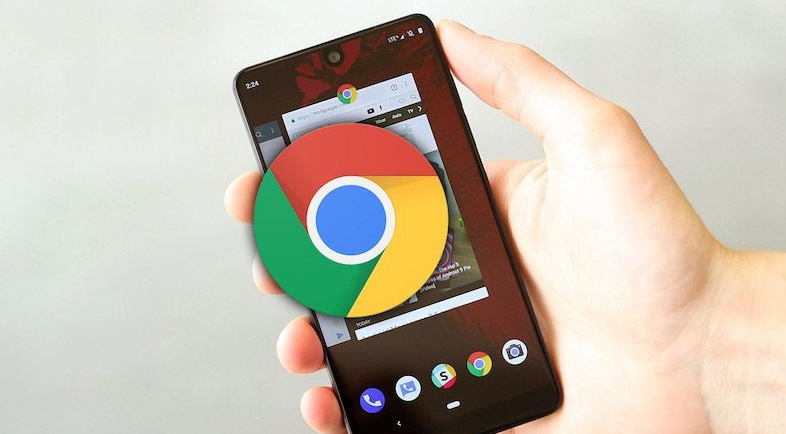 google Chrome浏览器安装包版本切换及权限配置详解教程