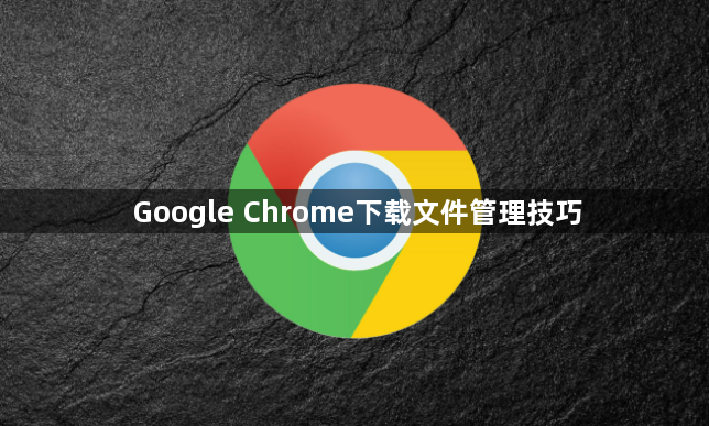 Google Chrome下载文件管理技巧1