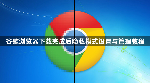 谷歌浏览器下载完成后隐私模式设置与管理教程1