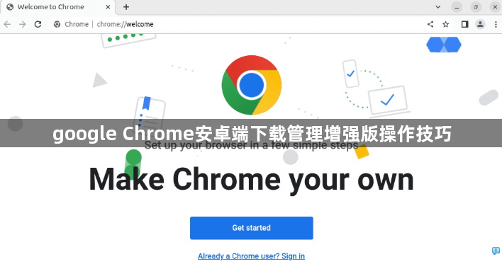 google Chrome安卓端下载管理增强版操作技巧1