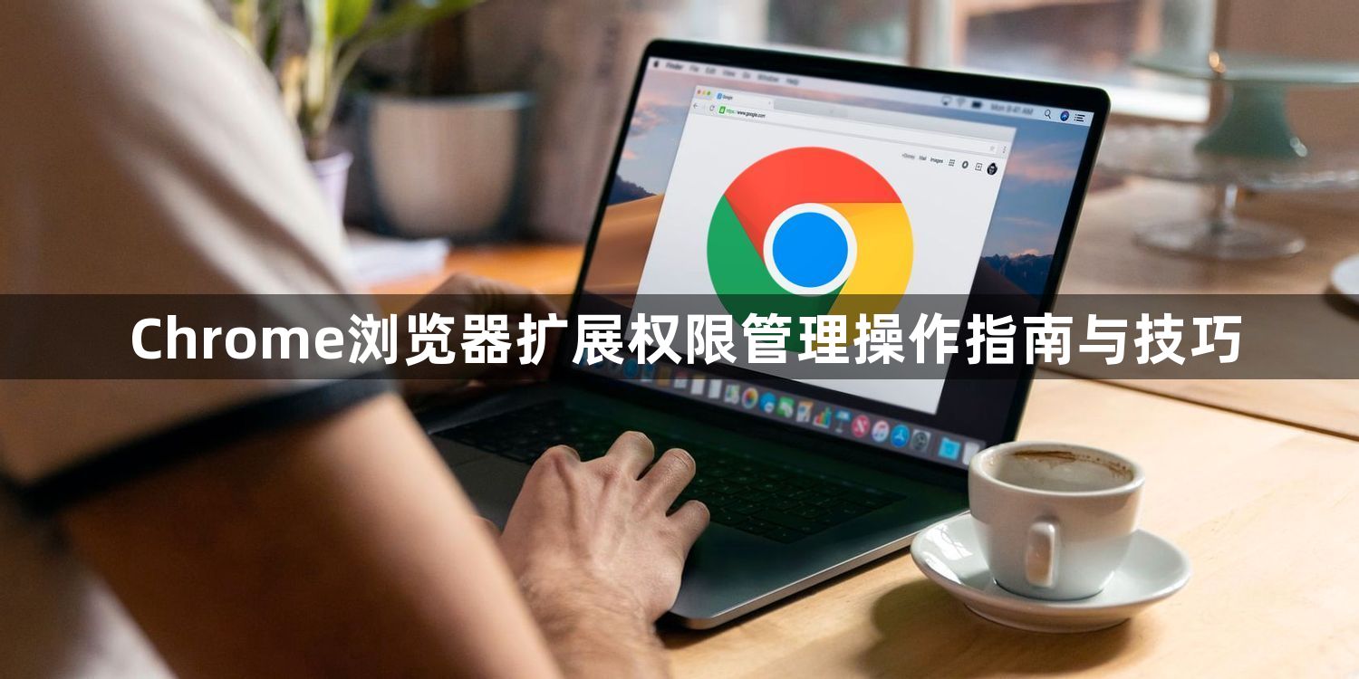 Chrome浏览器扩展权限管理操作指南与技巧1